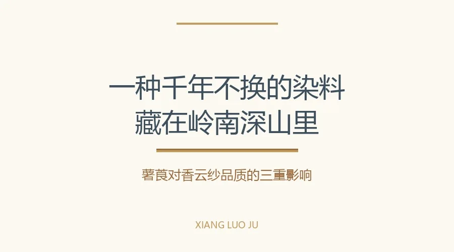 香云纱薯莨对香云纱品质的影响新中式百科知识