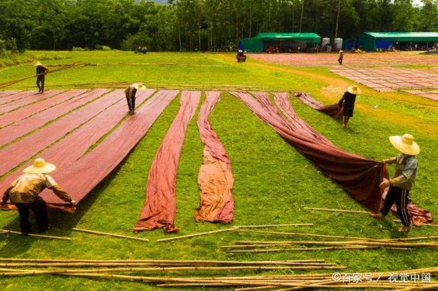 香云纱制作工艺晒莨工序流程